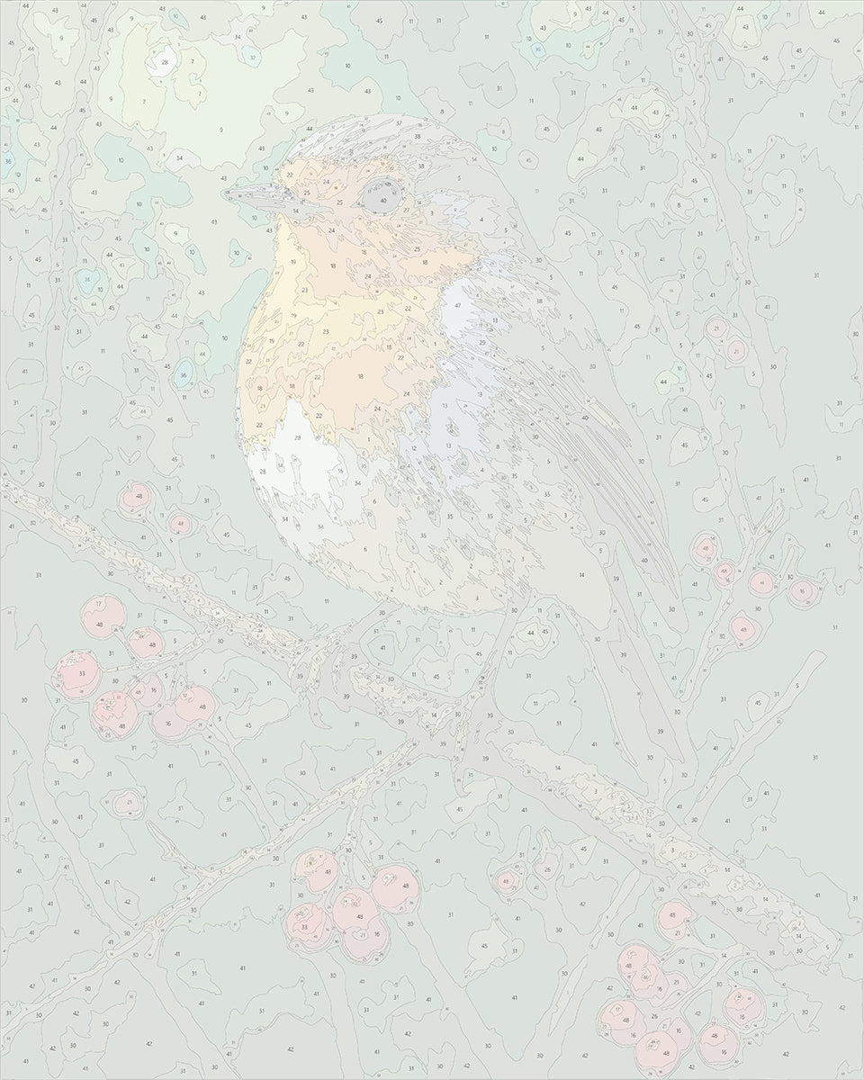 陽だまりのコマドリ